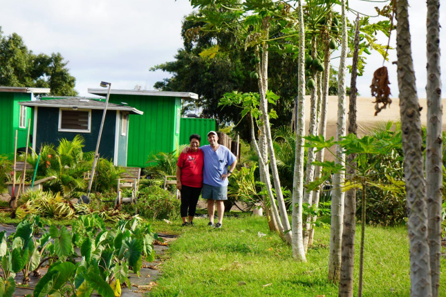 Gov Green Agriculture