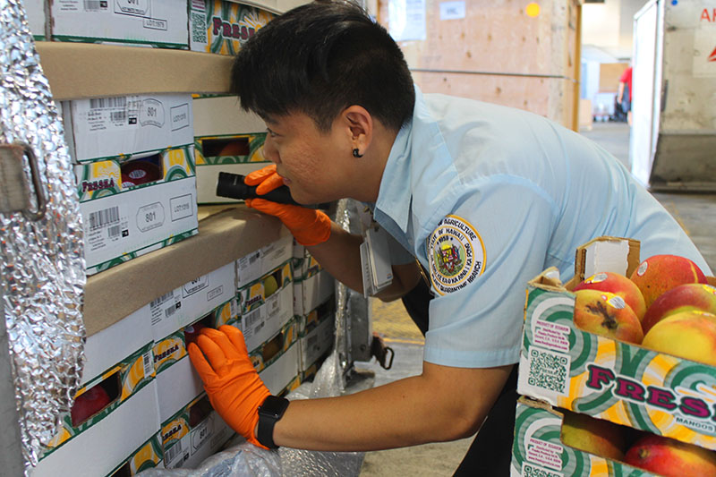 Inspectors Thoroughly inspect containers and packages.