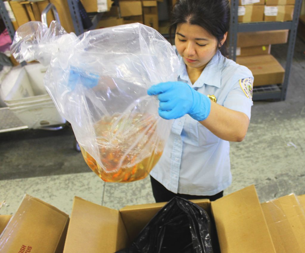 All live animals including fish need inspection before entering Hawaii.